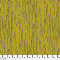 Asparagus Stripe Gold (Feb 2024)