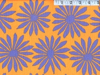 Sunshine Gerbera