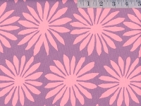 Lilac Gerbera