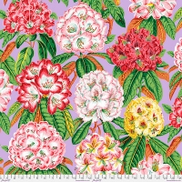 Rhododendrons Lavender (AUG 2023)