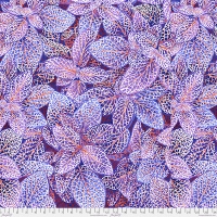 Fittonia Blue (August 2024)