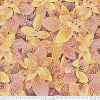 Fittonia Gold (August 2024)