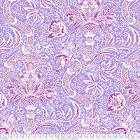 Indian Lavender (Dec 2024)