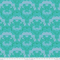 Michaelmas Daisy Aqua (Dec 2024)