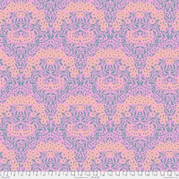 Michaelmas Daisy Pink (Dec 2024)