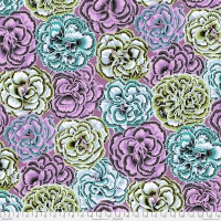 Picotee Carnations Contrast (Aug 2025)