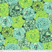 Picotee Carnations Green (Aug 2025)