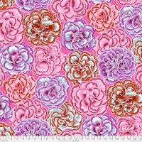 Picotee Carnations Pink (Aug 2025)