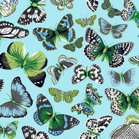 Butterflies Aqua 2