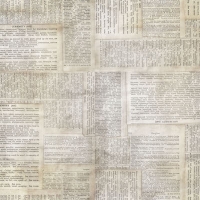 Dictionary Neutral 108 inch Backing Fabric