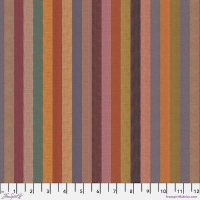 Broad Stripe Dusky (March 2025)