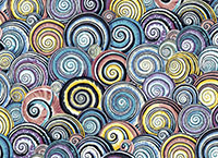 Spiral Shells Contrast